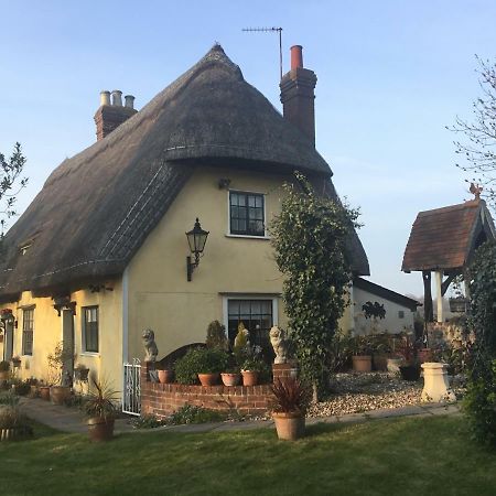 Ivy Todd Cottage Debden Exteriér fotografie